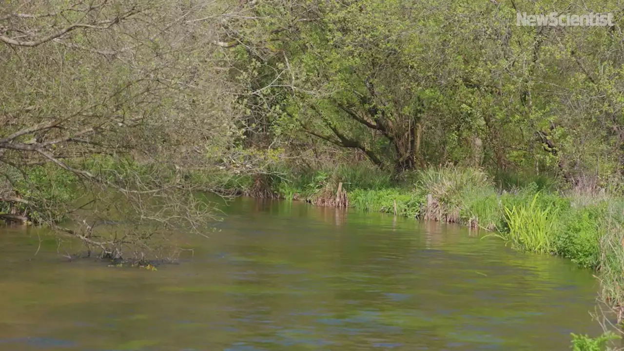 Jim Murray: The 'activist angler' collecting data to improve rivers