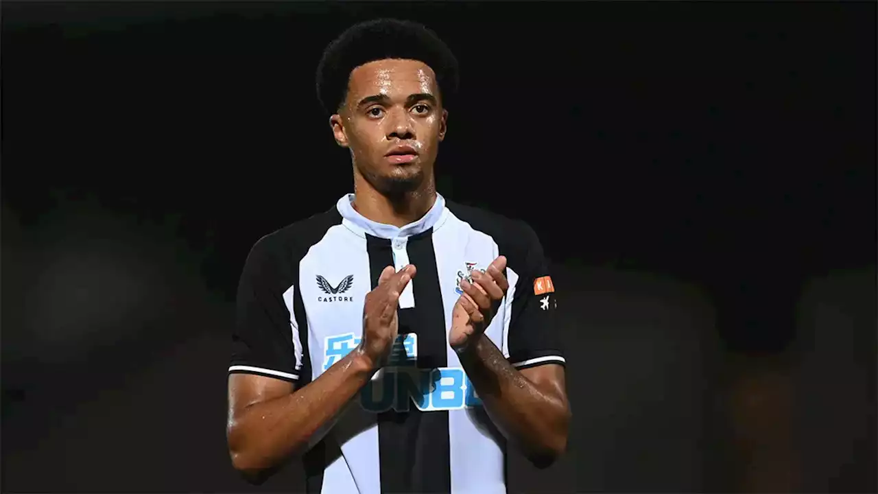 Championship club keen to sign Jamal Lewis from Newcastle United - Report