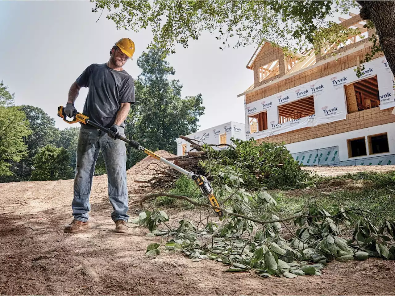 Houseworks: Pole saws make sense for economical tree maintenance