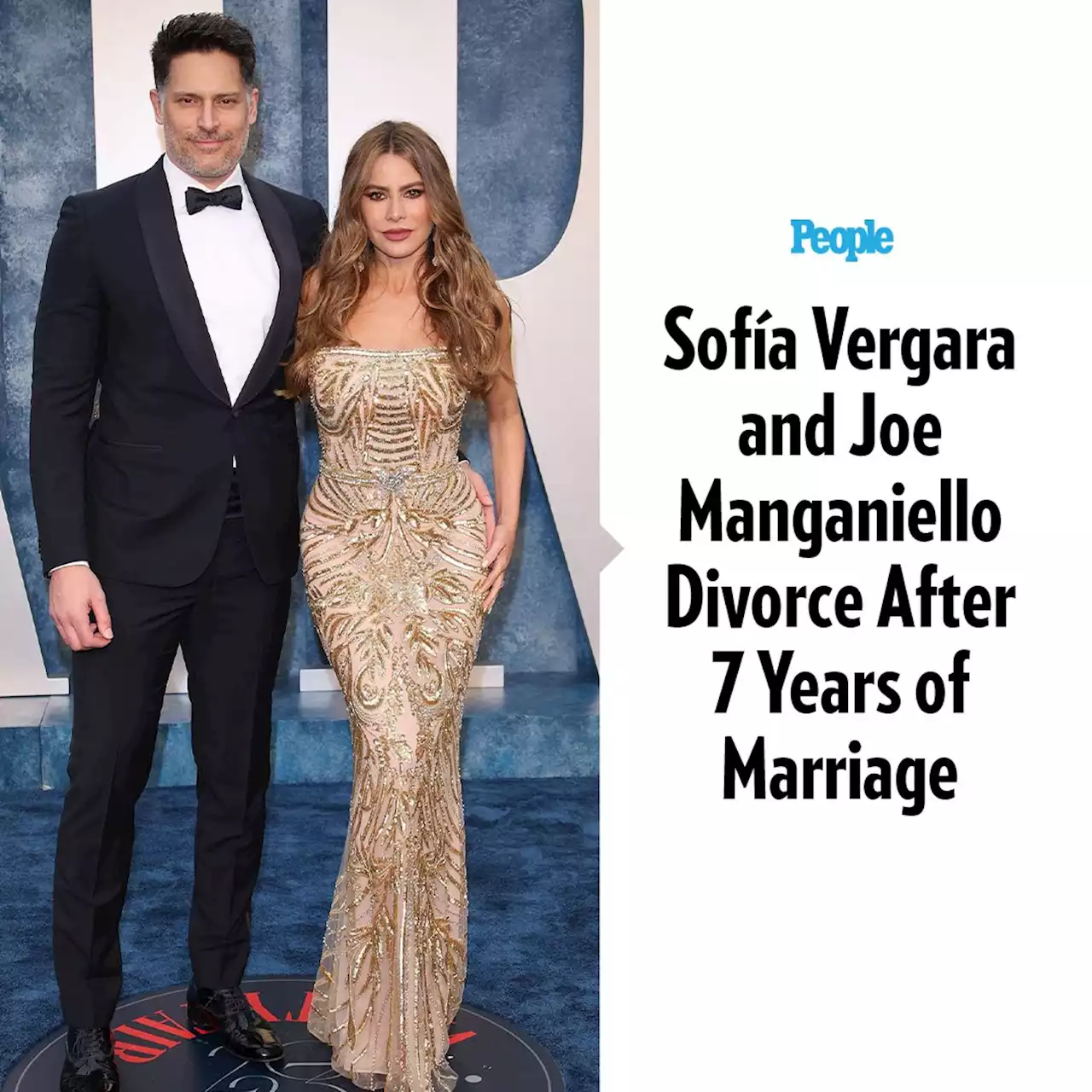 Sofía Vergara and Joe Manganiello Divorce After 7 Years of Marriage