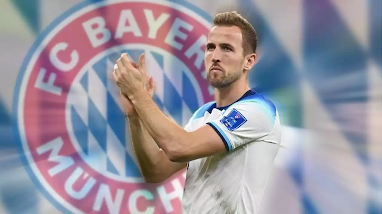 International - Harry Kane im Visier des FC Bayern München: Transfer-Gerüchte und News - Bayern-Boss Dreesen muss Wogen nach Hoeneß-Vorstoß wohl glätten