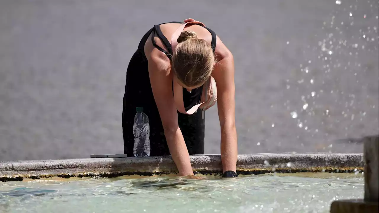 Previsioni meteo, Caronte porta tempeste di calore e notti tropicali. Caldo record a Roma: previsti 43 gradi