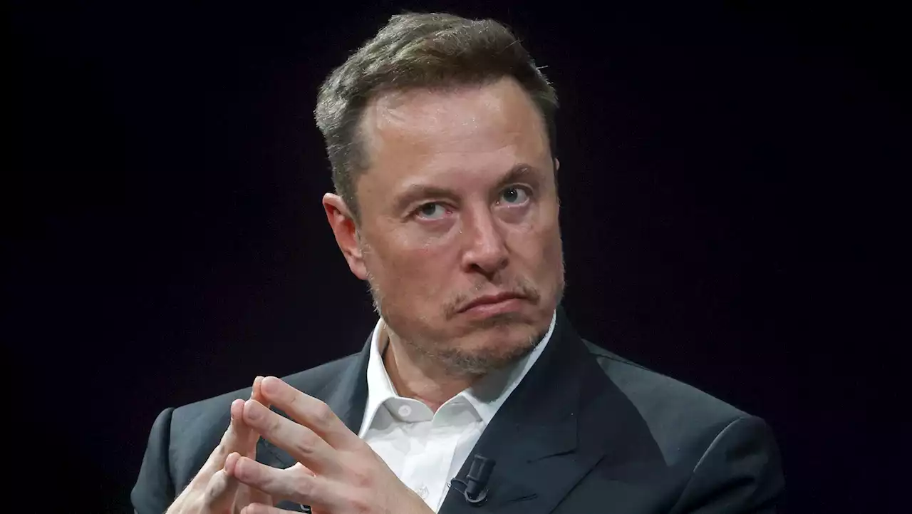 Right-Wing Influencers Are Furious Elon Didn't Pay Them to Tweet