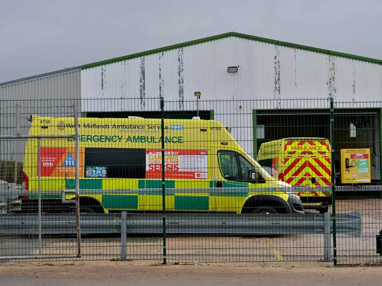 Bird droppings health risk leads to ambulance service requesting licence to remove swallows