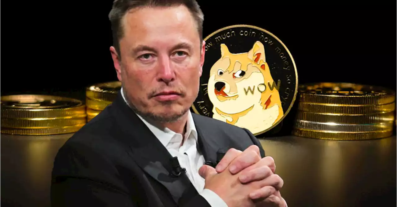 Elon Musk โต้กลับ ! หลังถูกนักลงทุนฟ้อง ยืนยันกระเป๋าเงินที่เทขาย DOGE ไม่ได้เป็นของเขาหรือ Tesla