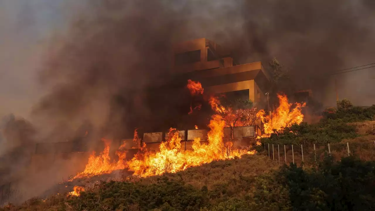 Wildfires tear through towns in Greece as thousands flee seaside resorts