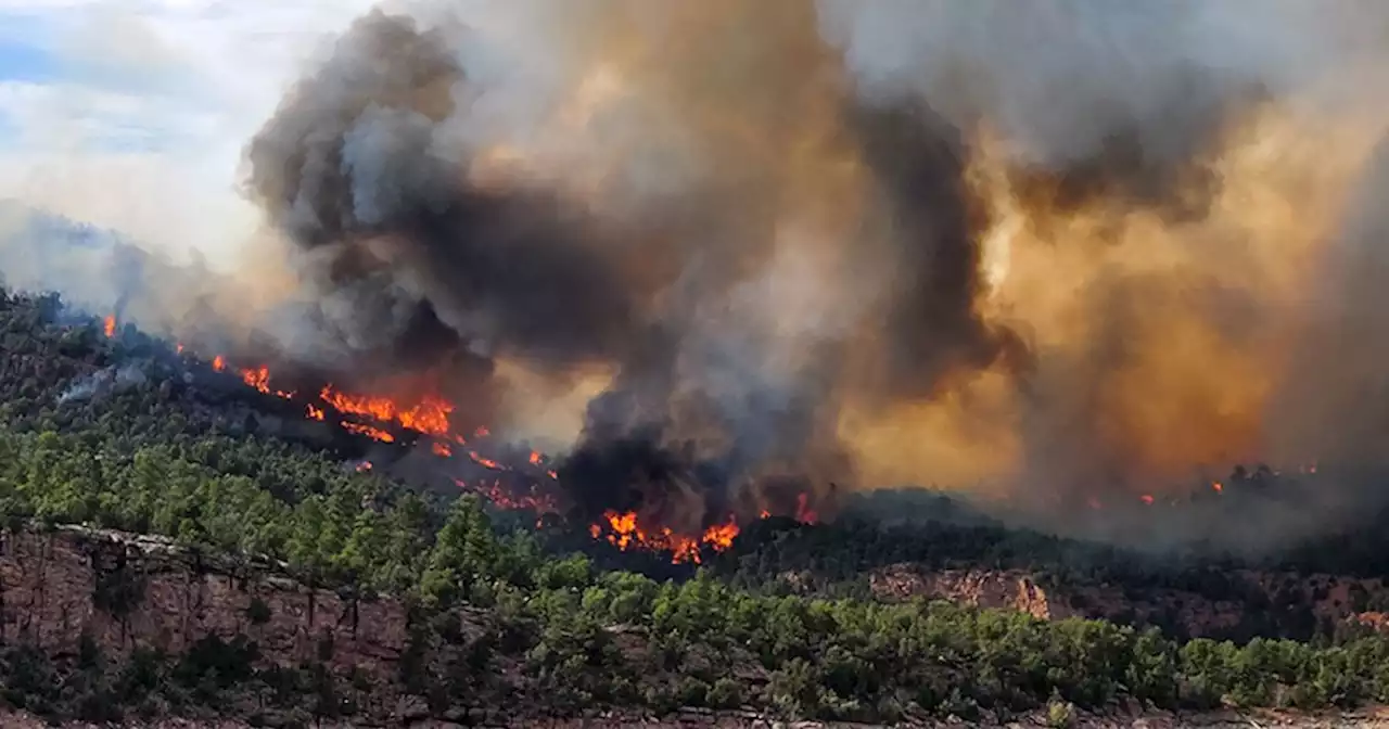 Lightning-caused fire forces evacuation of campground near Flaming Gorge