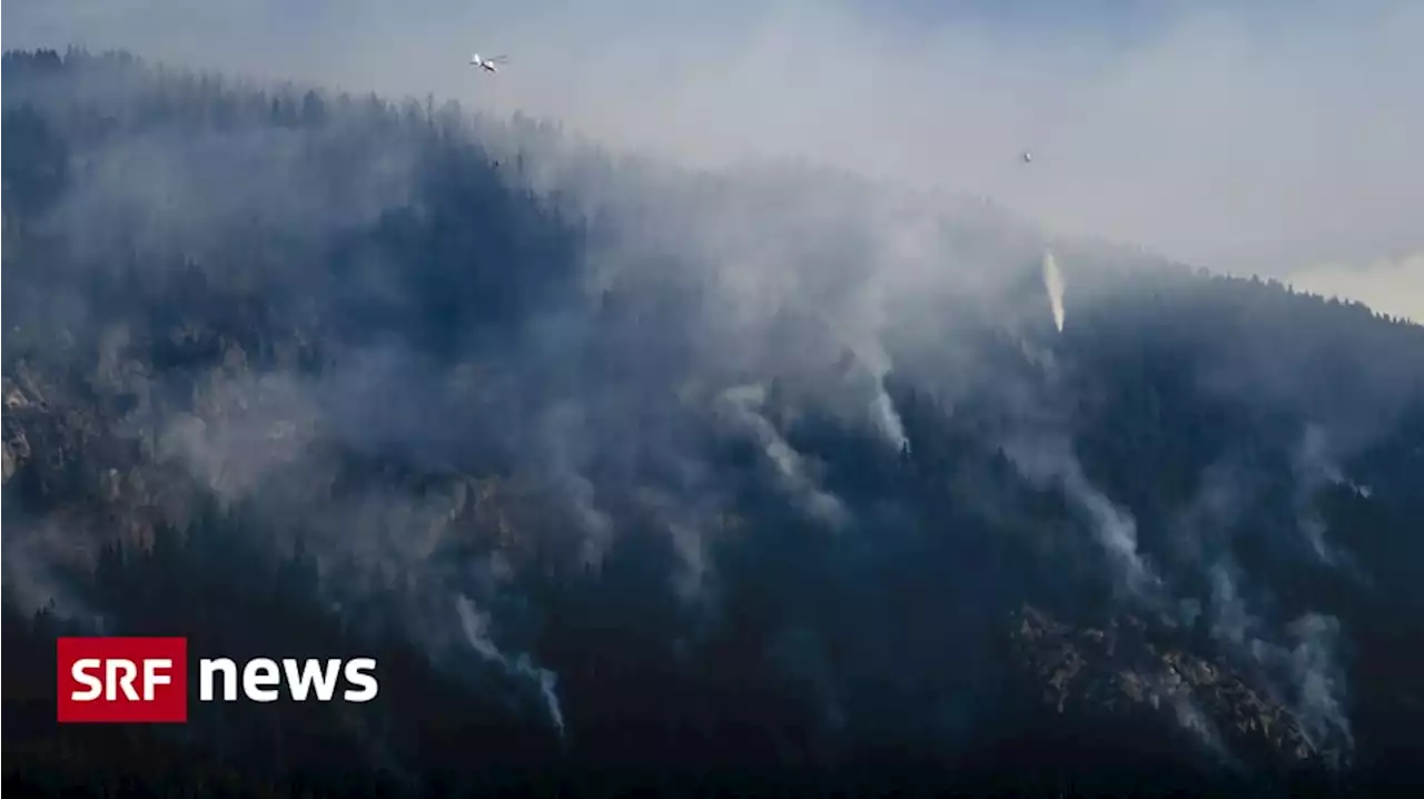 Waldbrand bei Bitsch (VS) - Der Wind bleibt das Sorgenkind