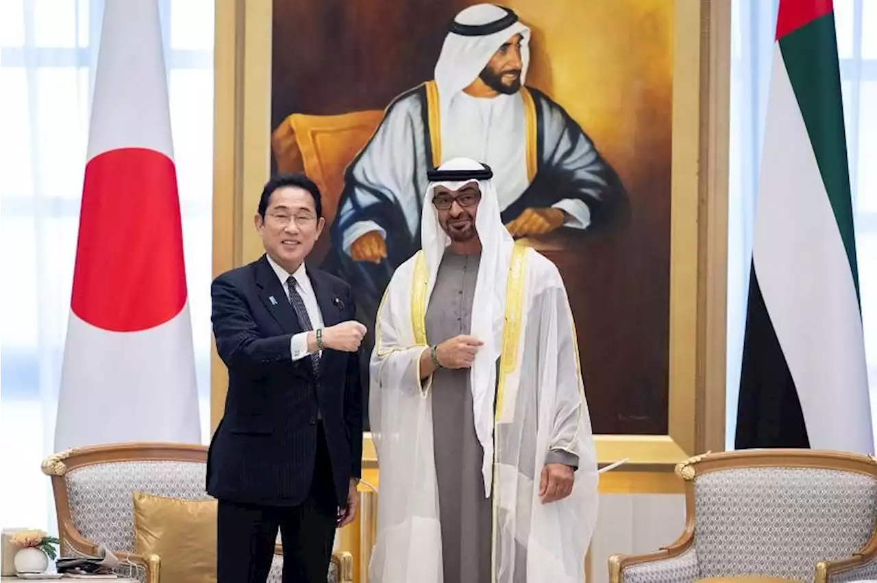 Japan and UAE to work together on innovation, climate change