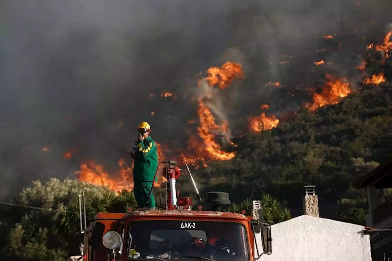 Wildfires burn homes near Greek capital, residents flee