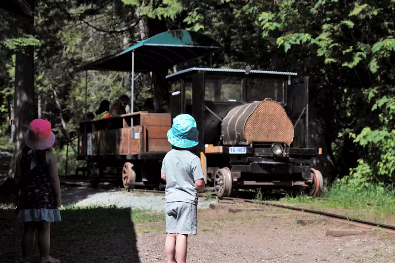 Muskeg Express train goes out of service again