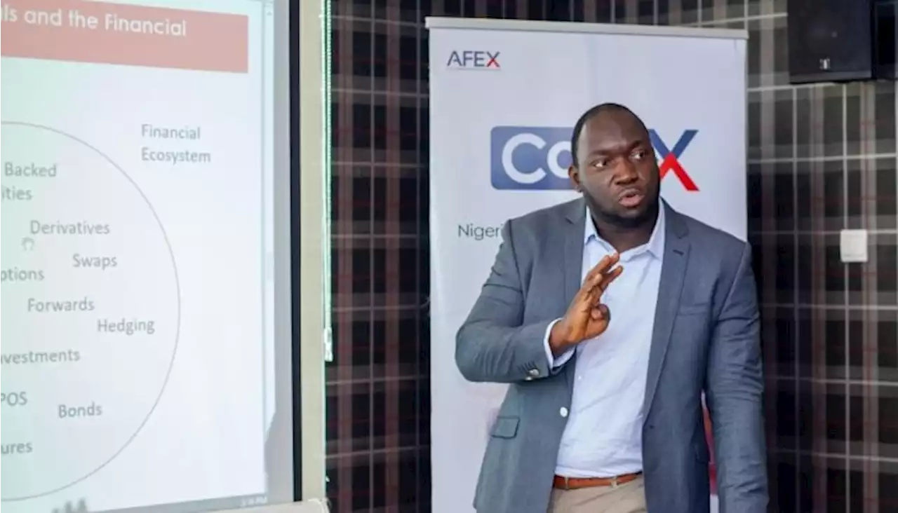 Nigeria: AFEX aims to raise $1.5bn next year, CEO Balogun says - The Africa Report.com