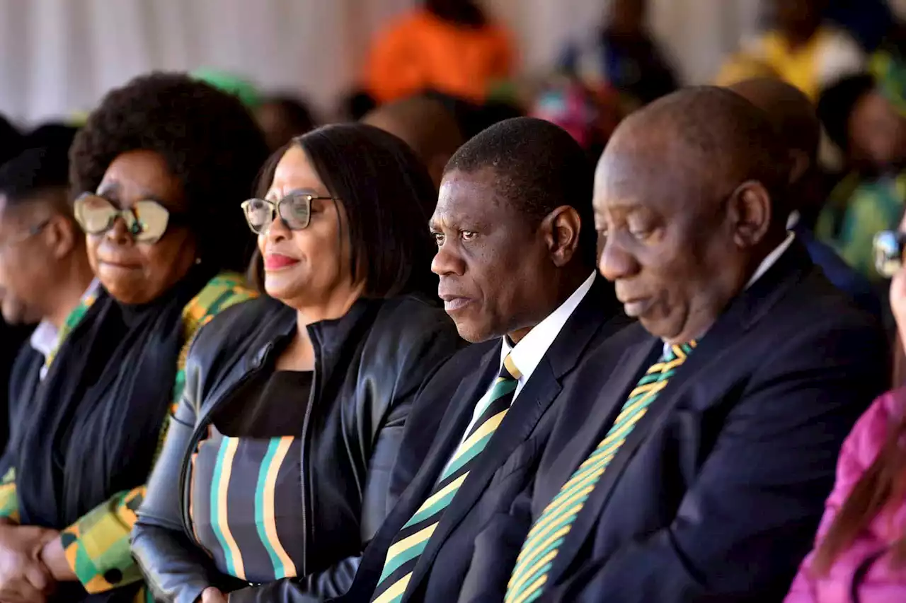 'Interference' - ANC cannot call on Lamola or Ramaphosa to pardon Zuma | The Citizen