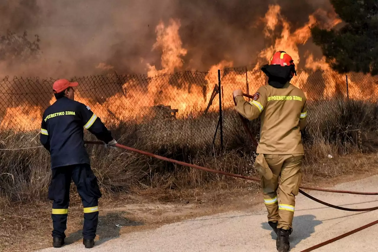 European heatwave set to reach 46C°peak as wildfires hit Greece and Swiss Alps