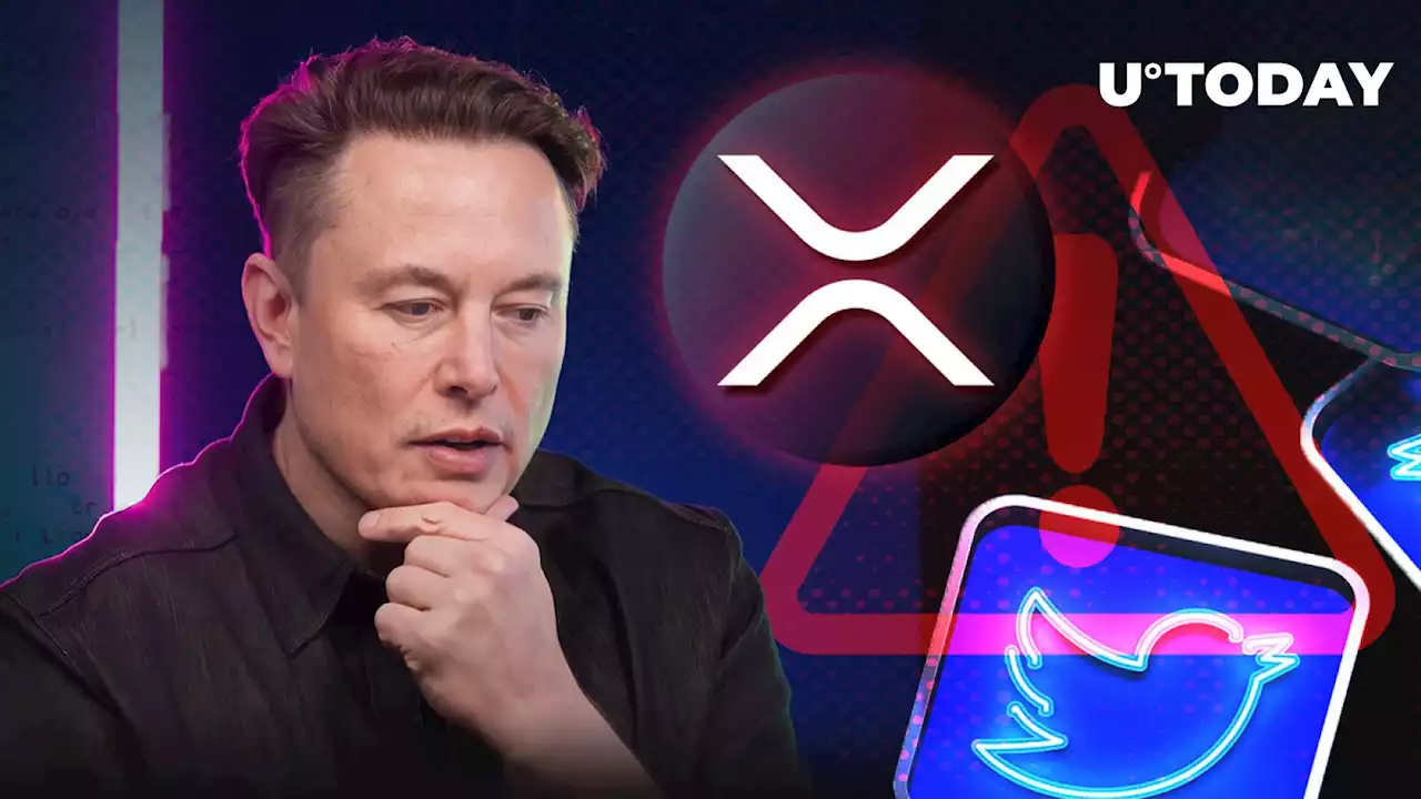 Ripple and XRP Scam Bots Flood Twitter: Elon Musk Called to Intervene