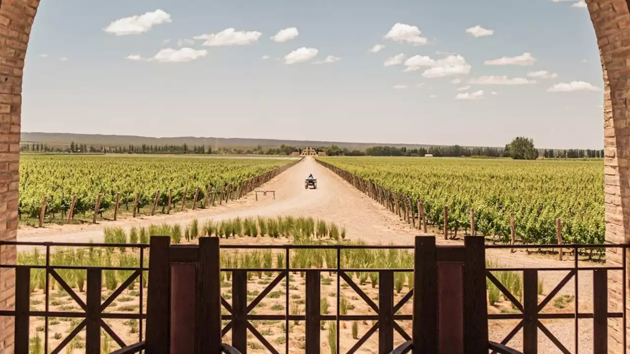 La classifica delle 50 cantine più belle del mondo