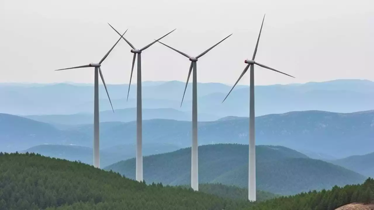 Windkraft: Ausbau in Deutschland nimmt zu - Kritik an Tempo