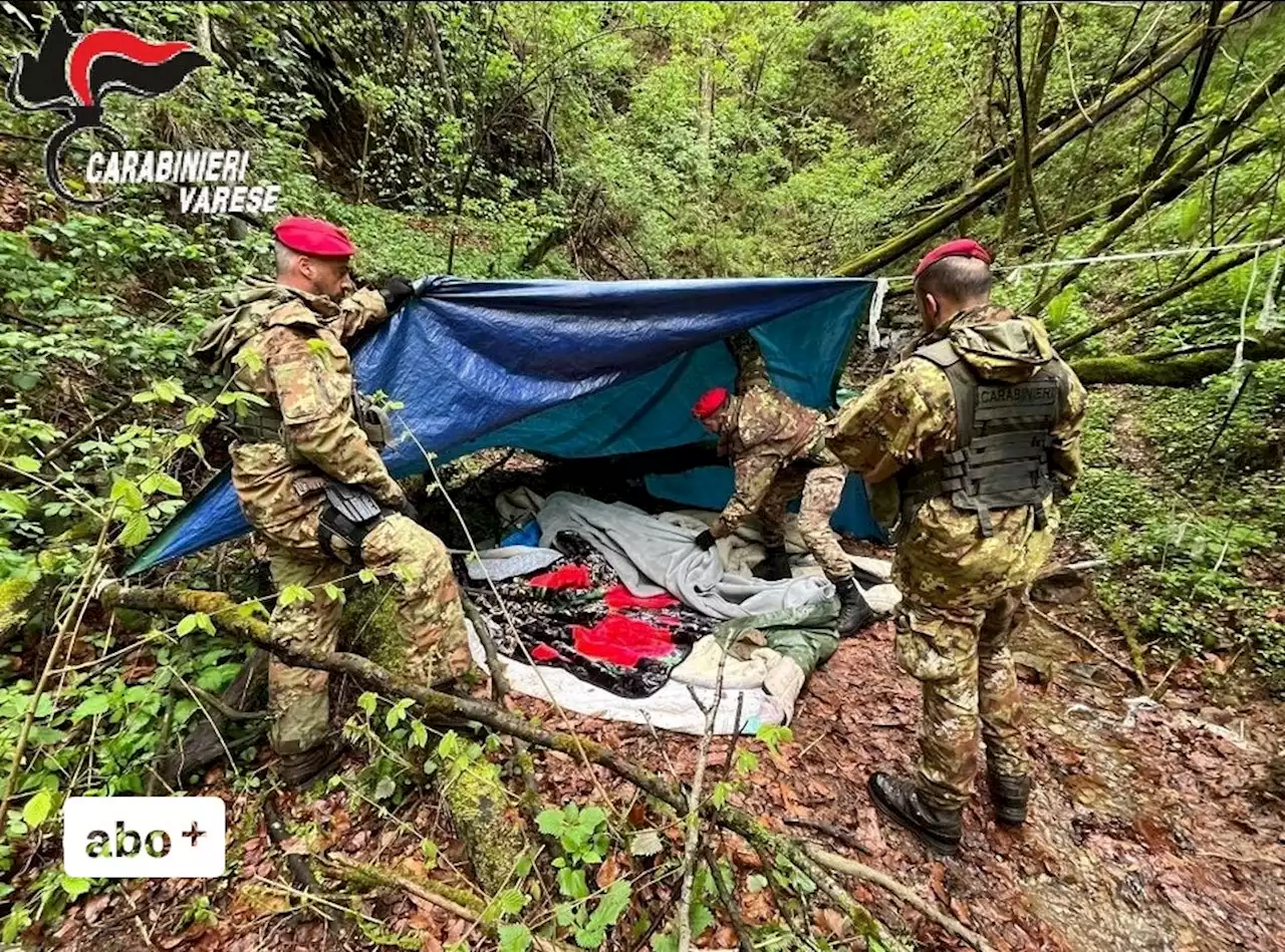 Tessin: Bevölkerung hat Angst vor Drogen-Supermarkt im Grenzwald