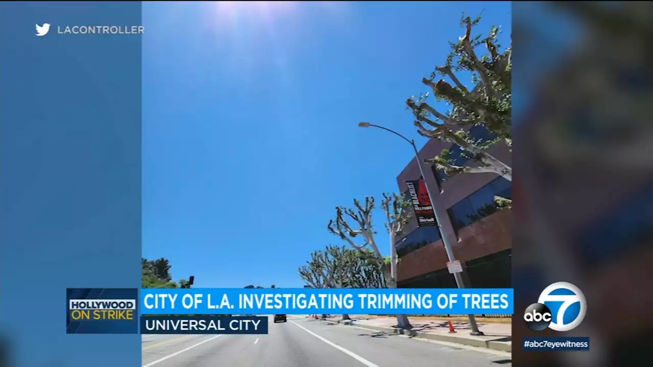 City of LA investigating trimming of trees outside Universal Studios where actors, writers picket