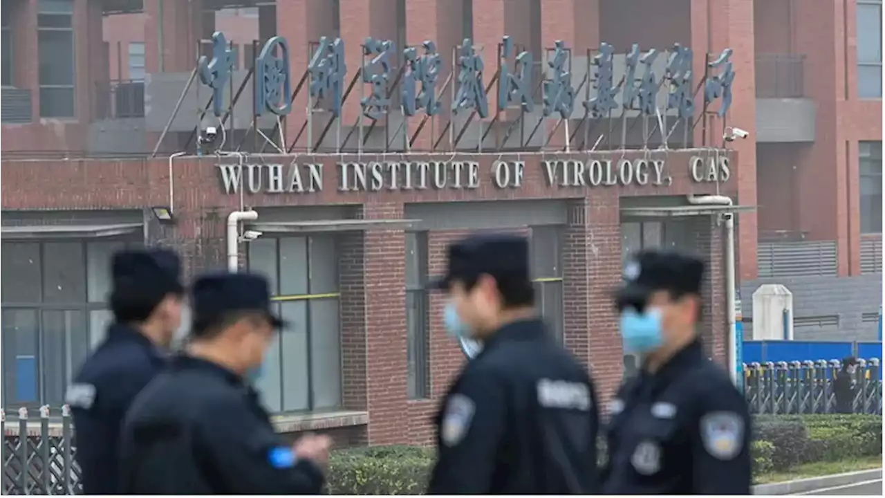 US Suspends Funds to Wuhan Lab at Center of COVID-19 Theories