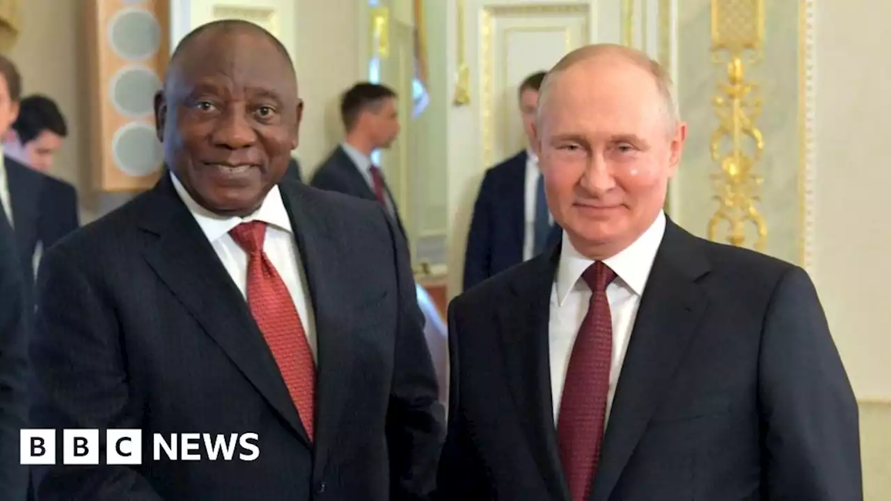 Putin will not attend Brics summit - South African presidency