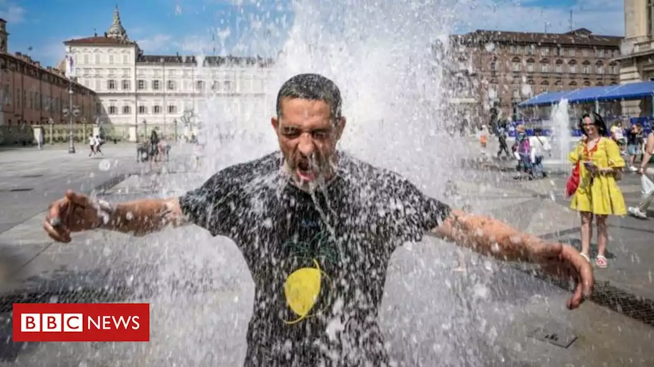 4 dados impressionantes do calor extremo que atinge o Hemisfério Norte - BBC News Brasil