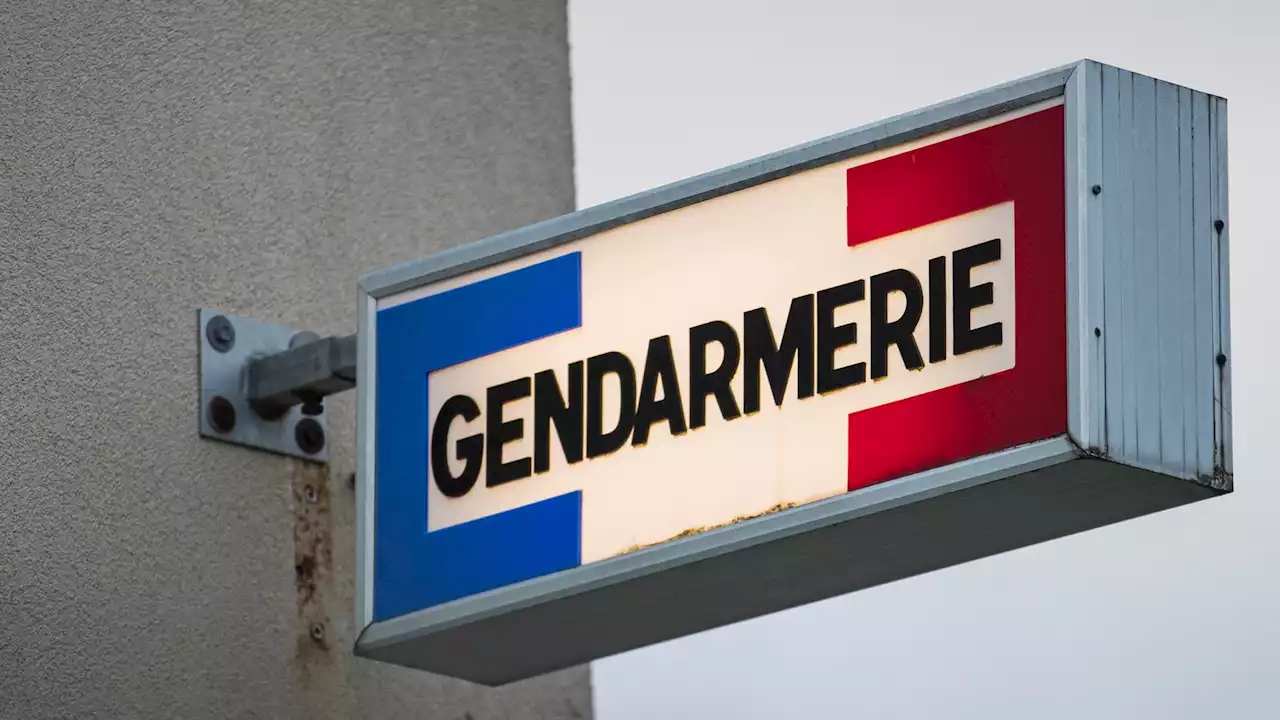 Hautes-Alpes: accusé de nombreux vols, un homme se présente de lui-même à la gendarmerie