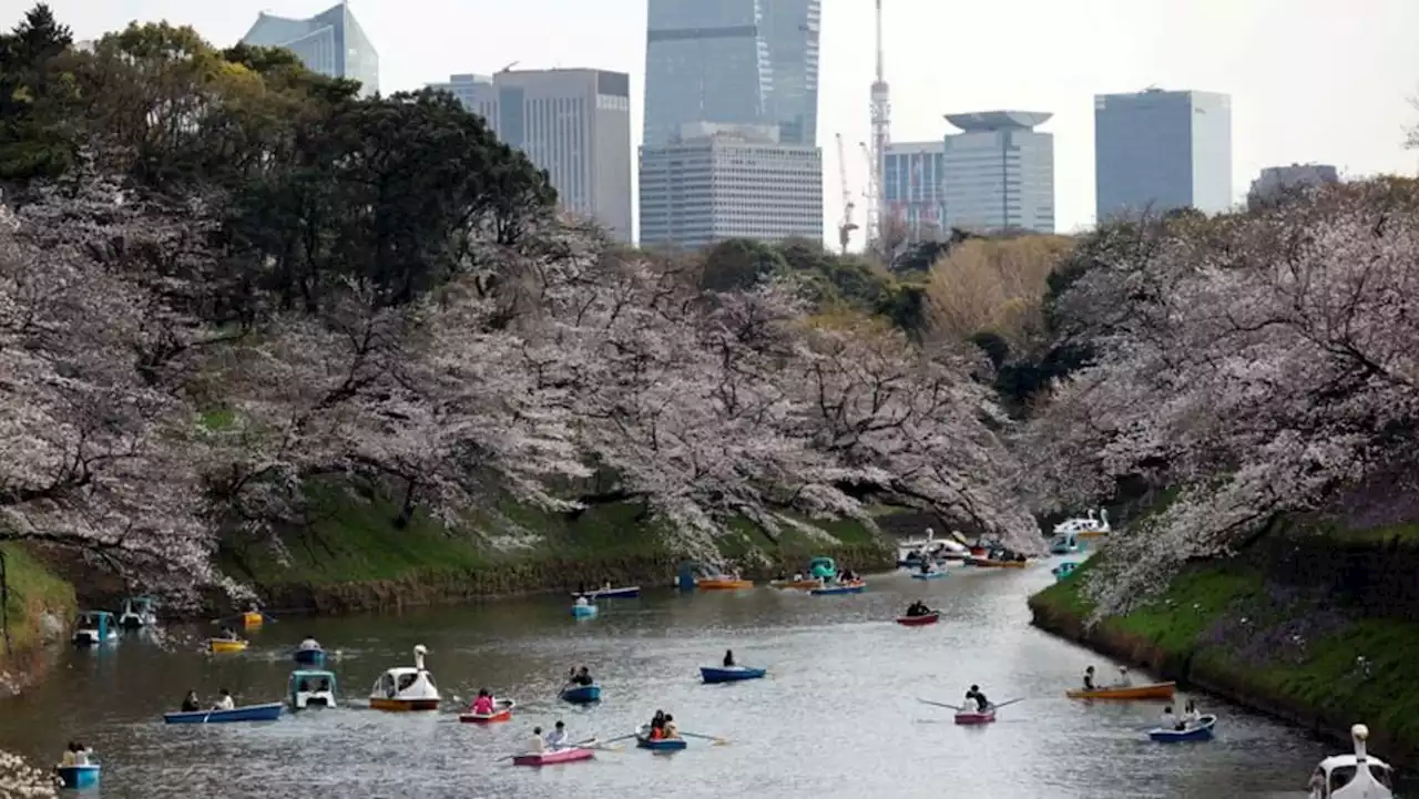 Japan visitors top 2 million in June for first time since pandemic