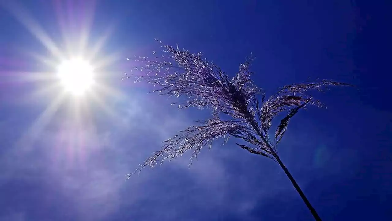 Météo : ces 10 départements en vigilance orange «canicule» ce mercredi