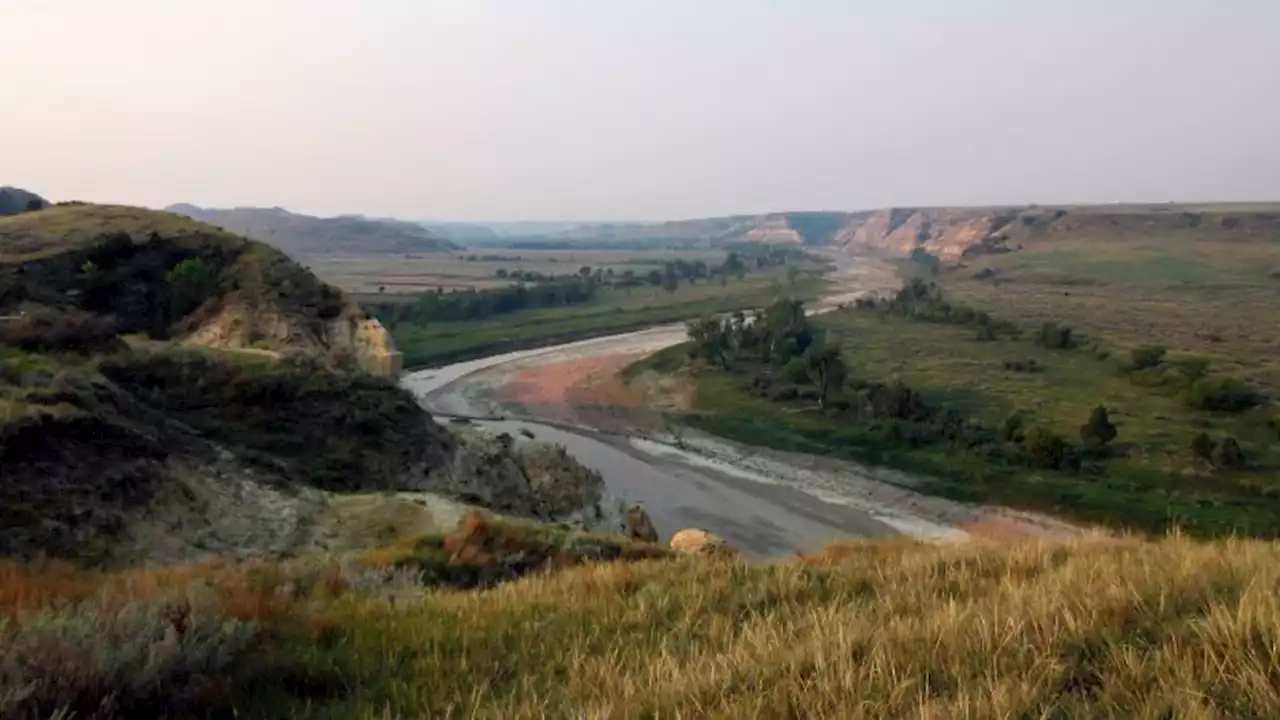 National Park Service warns about agitated bison during mating after women injured at 2 parks | CNN