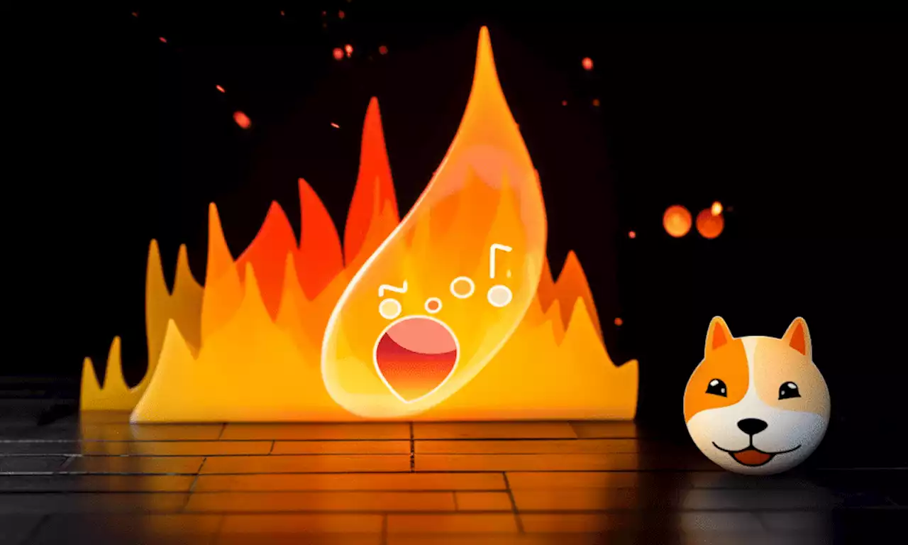 Here’s why Shiba Inu’s surging burn rate has sparked concern