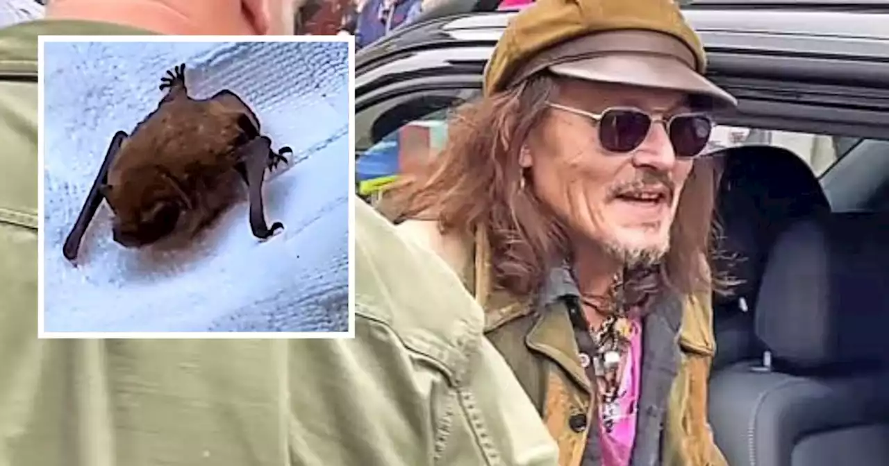 Johnny Depp's Hollywood Vampire band meet match in bat encounter at Scots hotel