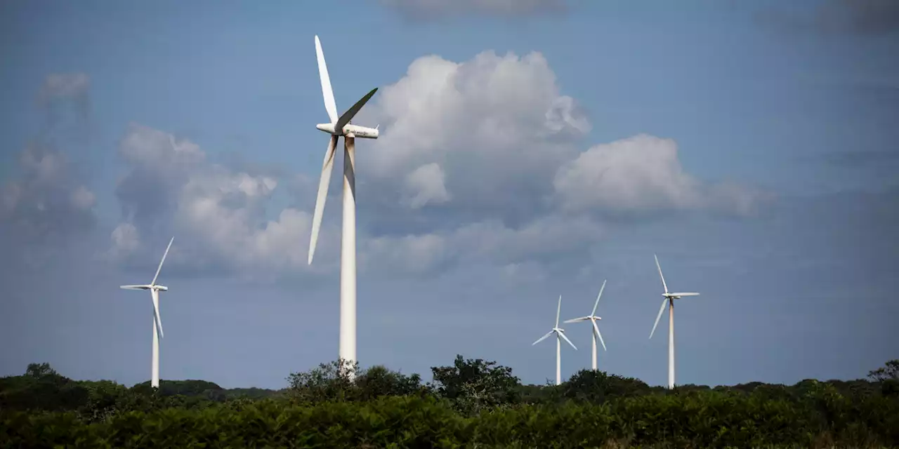 Les énergies renouvelables vont rapporter 13,7 milliards d'euros à l'État en 2023