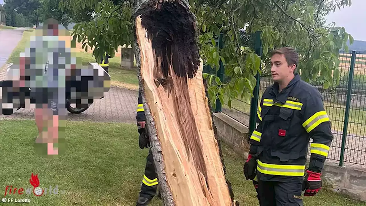 Bgld: Blitz spaltet Baum beim Friedhof in Loretto