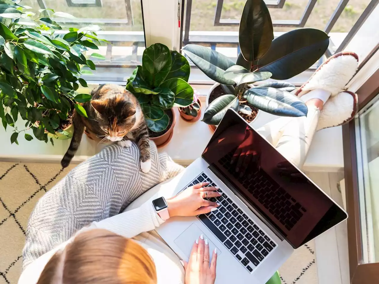 Canadians work from home more than employees in any other country