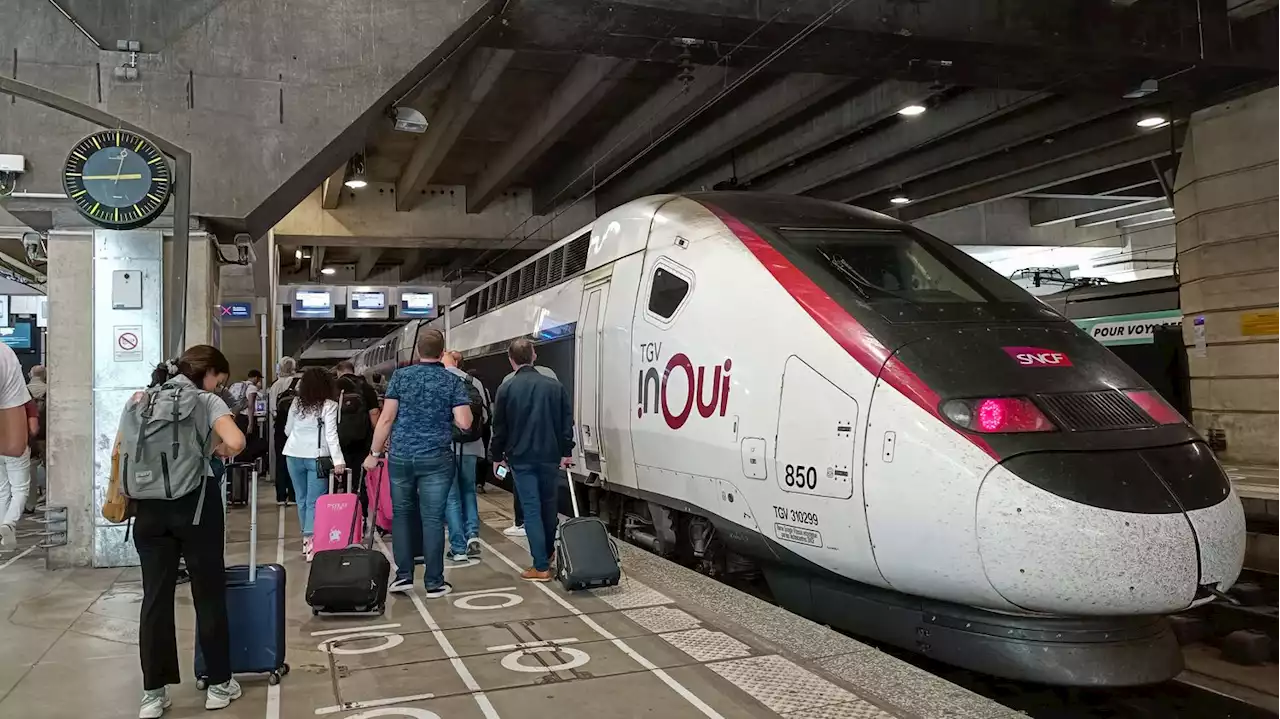 Chat écrasé par un TGV : la SNCF fait appel de sa condamnation