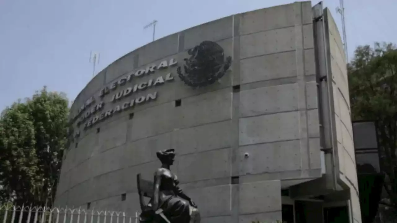 Tribunal Electoral planea poner un alto a las giras de Morena y el Frente Amplio por México por esta razón