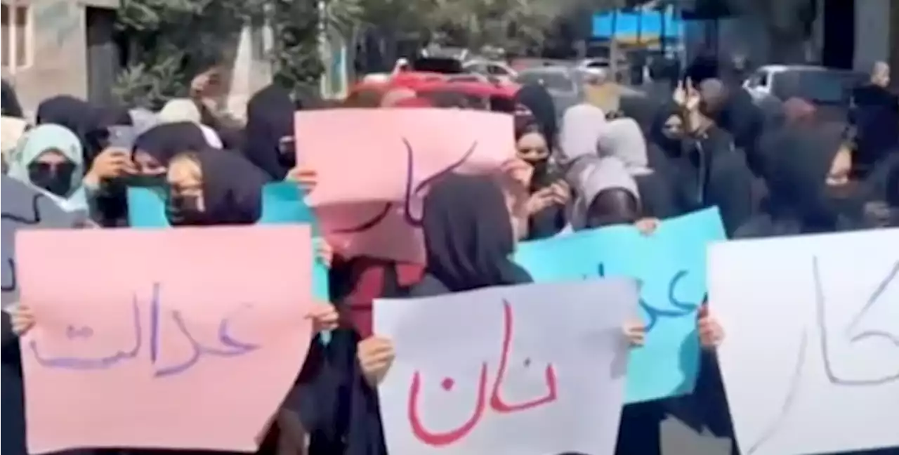 La rara protesta delle donne afghane contro la chiusura dei parrucchieri - Il Post