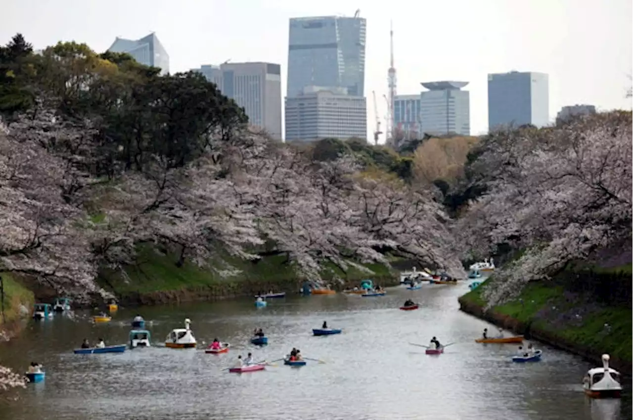 Japan visitors top 2 million in June for first time since pandemic