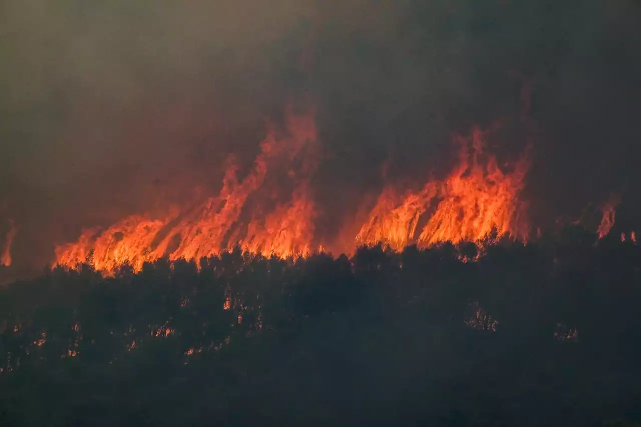 Europa sofre com incêndios florestais e Oriente Médio registra índice de calor que pode matar