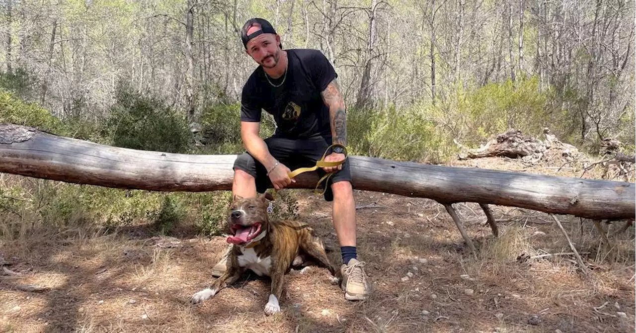 Éducateur canin à La Ciotat, Aurélien est spécialiste des chiens agressifs