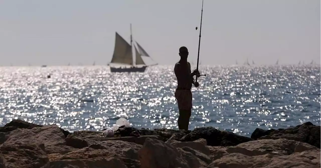 Fortes chaleurs : la température de la Méditerranée avoisine les 30°C