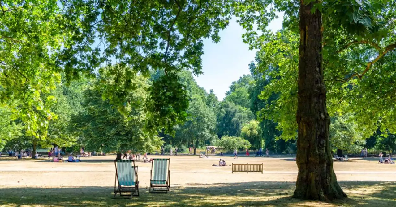 Maps show incredible cooling effects of trees during heatwaves around the UK