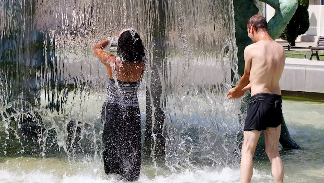 Vigilance orange canicule : Hérault, Gard, Pyrénées-Orientales... comment faire face aux chaleurs extrêmes ce mercredi ?