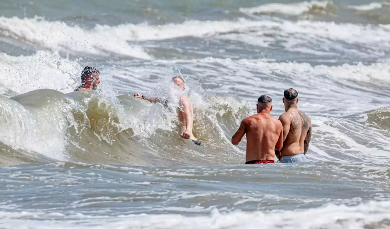 Autsch! Achtung, Urlauber: Dutzende haben das Bad in der Ostsee schon bereut