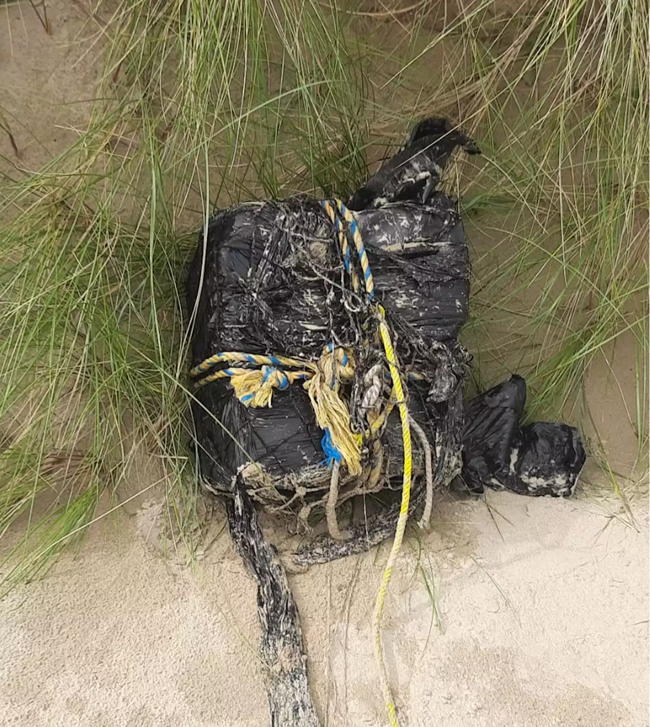 Donegal: Several packages of suspected cocaine wash up on beaches