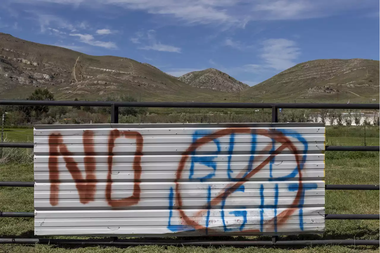 Bud Light sales are falling fastest in these two states