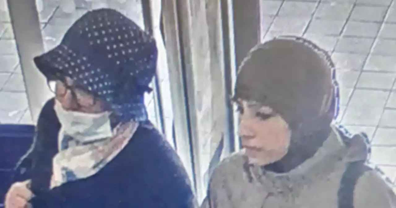 CCTV images released after 2 thieves stole money from shopper