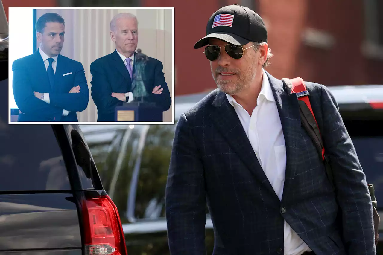 ‘Gay Democrat’ IRS Hunter Biden whistleblower set to come forward