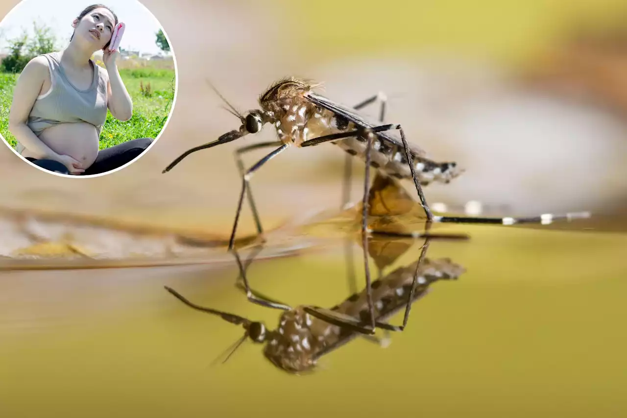 Why some people are mosquito magnets — and how to avoid the pesky bugs